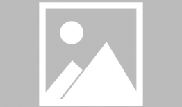 刘德华爆料吃瓜是真的吗,刘德华爆料吃瓜事件真相揭秘