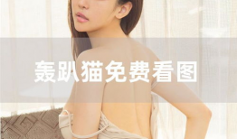 黑人免费视频,免费视频带你领略多元世界